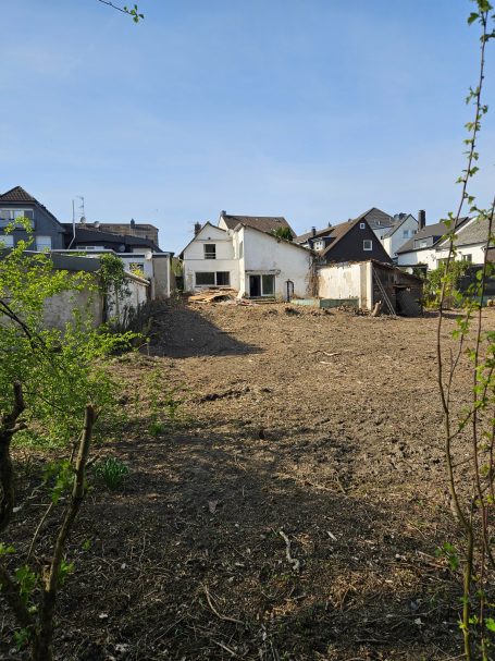 Zustand nach Abschluss der Rodungsarbeiten